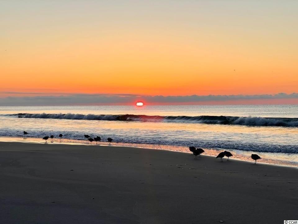 Beautiful Beachfront-Oceanfront First Floor 2Br 2Ba Condo In Cherry Grove, North Myrtle Beach! Renovated With A Fully Equipped Kitchen, 3 Separate Beds, Pool, Private Patio & Steps To The Sand! Eksteriør bilde